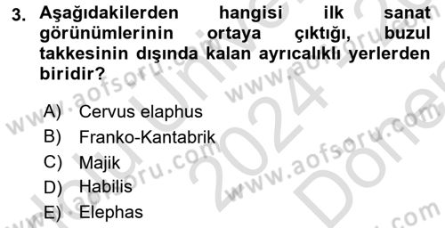 Akdeniz Uygarlıkları Sanatı Dersi 2024 - 2025 Yılı (Final) Dönem Sonu Sınav Soruları 3. Soru