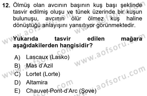 Akdeniz Uygarlıkları Sanatı Dersi 2024 - 2025 Yılı Yaz Okulu Sınav Soruları 12. Soru