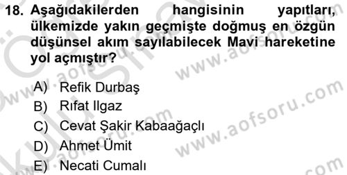 Akdeniz Uygarlıkları Sanatı Dersi 2024 - 2025 Yılı Yaz Okulu Sınav Soruları 18. Soru