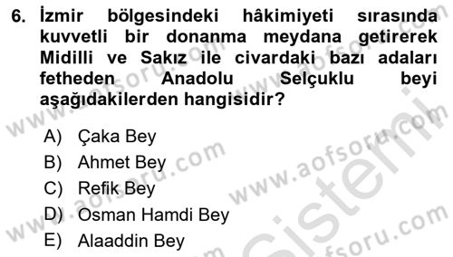 Akdeniz Uygarlıkları Sanatı Dersi 2024 - 2025 Yılı Yaz Okulu Sınav Soruları 6. Soru