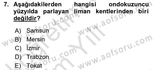 Akdeniz Uygarlıkları Sanatı Dersi 2024 - 2025 Yılı Yaz Okulu Sınav Soruları 7. Soru
