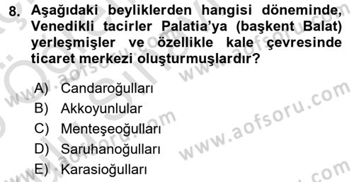 Akdeniz Uygarlıkları Sanatı Dersi 2024 - 2025 Yılı Yaz Okulu Sınav Soruları 8. Soru