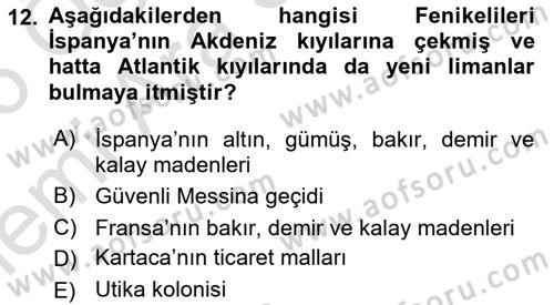 Akdeniz Uygarlıkları Sanatı Dersi 2025 - 2026 Yılı (Vize) Ara Sınav Soruları 12. Soru