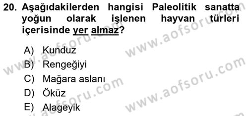 Akdeniz Uygarlıkları Sanatı Dersi 2025 - 2026 Yılı (Vize) Ara Sınav Soruları 20. Soru