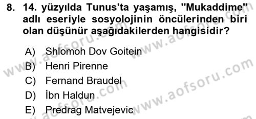 Akdeniz Uygarlıkları Sanatı Dersi 2025 - 2026 Yılı (Final) Dönem Sonu Sınav Soruları 8. Soru