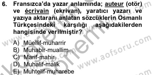 Güzel Sanatlar Dersi 2012 - 2013 Yılı (Vize) Ara Sınavı 6. Soru