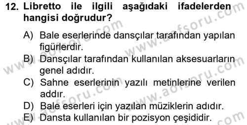 Güzel Sanatlar Dersi 2012 - 2013 Yılı (Final) Dönem Sonu Sınav Soruları 12. Soru