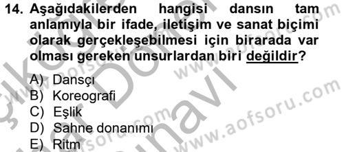 Güzel Sanatlar Dersi 2012 - 2013 Yılı (Final) Dönem Sonu Sınav Soruları 14. Soru