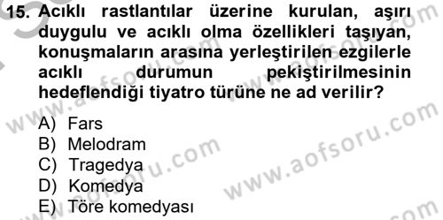 Güzel Sanatlar Dersi 2012 - 2013 Yılı (Final) Dönem Sonu Sınav Soruları 15. Soru