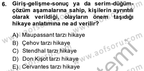 Güzel Sanatlar Dersi 2013 - 2014 Yılı (Vize) Ara Sınav Soruları 6. Soru