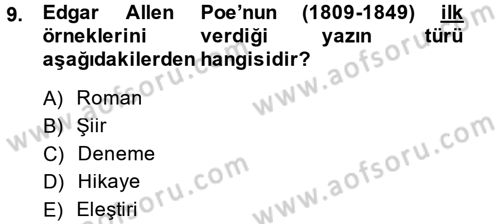 Güzel Sanatlar Dersi 2013 - 2014 Yılı (Vize) Ara Sınav Soruları 9. Soru