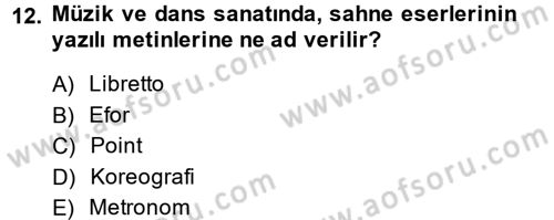 Güzel Sanatlar Dersi 2013 - 2014 Yılı (Final) Dönem Sonu Sınav Soruları 12. Soru