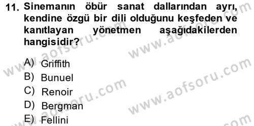 Güzel Sanatlar Dersi 2014 - 2015 Yılı (Final) Dönem Sonu Sınav Soruları 11. Soru