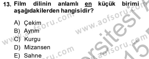 Güzel Sanatlar Dersi 2014 - 2015 Yılı (Final) Dönem Sonu Sınav Soruları 13. Soru