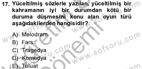 Güzel Sanatlar Dersi 2014 - 2015 Yılı (Final) Dönem Sonu Sınav Soruları 17. Soru