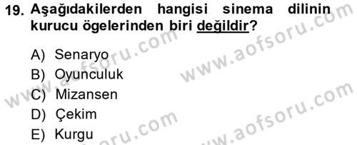 Güzel Sanatlar Dersi 2014 - 2015 Yılı (Final) Dönem Sonu Sınav Soruları 19. Soru