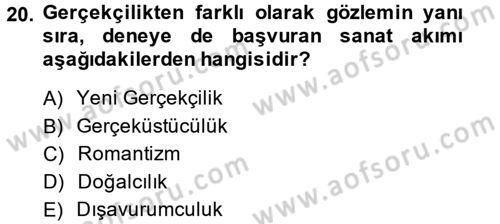 Güzel Sanatlar Dersi 2014 - 2015 Yılı (Final) Dönem Sonu Sınav Soruları 20. Soru