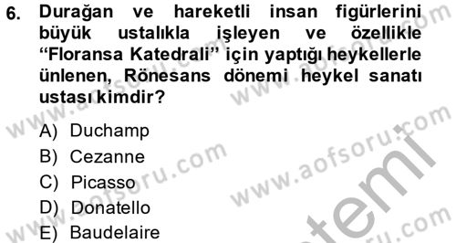 Güzel Sanatlar Dersi 2014 - 2015 Yılı (Final) Dönem Sonu Sınav Soruları 6. Soru