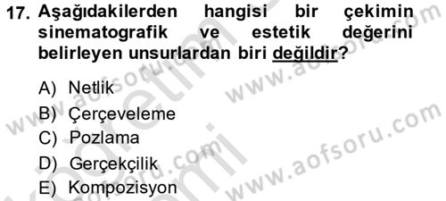 Güzel Sanatlar Dersi 2014 - 2015 Yılı Tek Ders Sınavı 17. Soru