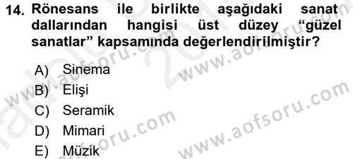 Güzel Sanatlar Dersi 2015 - 2016 Yılı (Vize) Ara Sınav Soruları 14. Soru