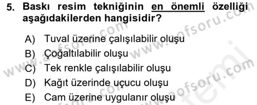 Güzel Sanatlar Dersi 2015 - 2016 Yılı (Vize) Ara Sınav Soruları 5. Soru