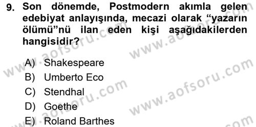 Güzel Sanatlar Dersi 2015 - 2016 Yılı (Vize) Ara Sınav Soruları 9. Soru