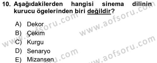 Güzel Sanatlar Dersi 2015 - 2016 Yılı (Final) Dönem Sonu Sınav Soruları 10. Soru
