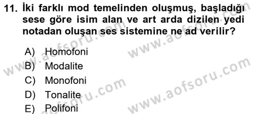 Güzel Sanatlar Dersi 2015 - 2016 Yılı (Final) Dönem Sonu Sınav Soruları 11. Soru