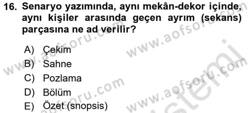 Güzel Sanatlar Dersi 2015 - 2016 Yılı (Final) Dönem Sonu Sınav Soruları 16. Soru