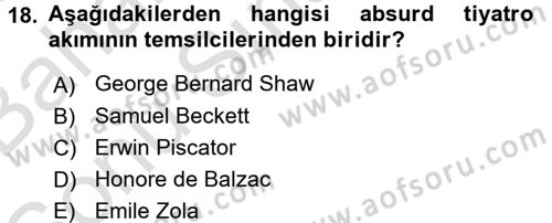 Güzel Sanatlar Dersi 2015 - 2016 Yılı (Final) Dönem Sonu Sınav Soruları 18. Soru