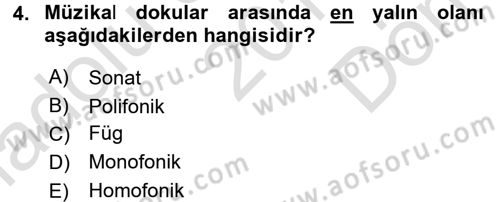 Güzel Sanatlar Dersi 2015 - 2016 Yılı (Final) Dönem Sonu Sınav Soruları 4. Soru
