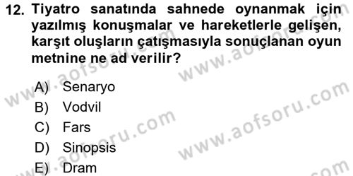 Güzel Sanatlar Dersi 2015 - 2016 Yılı Tek Ders Sınav Soruları 12. Soru