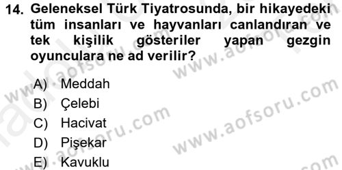 Güzel Sanatlar Dersi 2015 - 2016 Yılı Tek Ders Sınav Soruları 14. Soru