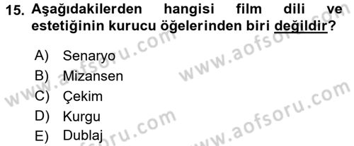 Güzel Sanatlar Dersi 2015 - 2016 Yılı Tek Ders Sınav Soruları 15. Soru