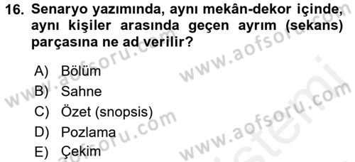 Güzel Sanatlar Dersi 2015 - 2016 Yılı Tek Ders Sınav Soruları 16. Soru