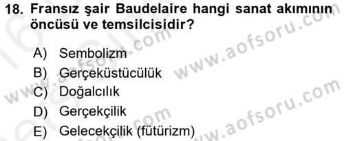 Güzel Sanatlar Dersi 2015 - 2016 Yılı Tek Ders Sınavı 18. Soru