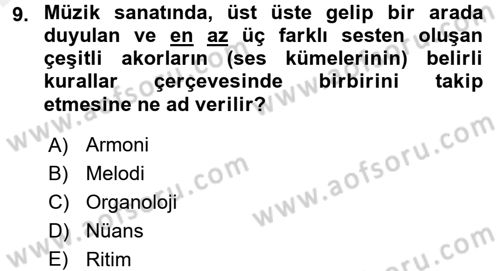 Güzel Sanatlar Dersi 2015 - 2016 Yılı Tek Ders Sınav Soruları 9. Soru