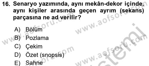 Güzel Sanatlar Dersi 2016 - 2017 Yılı 3 Ders Sınavı 16. Soru