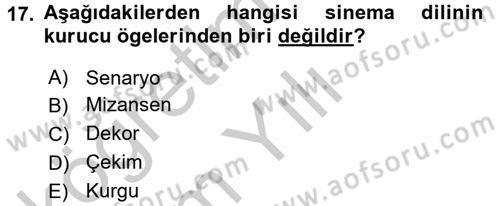 Güzel Sanatlar Dersi 2016 - 2017 Yılı 3 Ders Sınavı 17. Soru