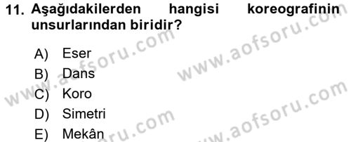 Güzel Sanatlar Dersi 2016 - 2017 Yılı (Final) Dönem Sonu Sınav Soruları 11. Soru