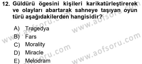 Güzel Sanatlar Dersi 2016 - 2017 Yılı (Final) Dönem Sonu Sınav Soruları 12. Soru