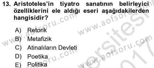 Güzel Sanatlar Dersi 2016 - 2017 Yılı (Final) Dönem Sonu Sınav Soruları 13. Soru