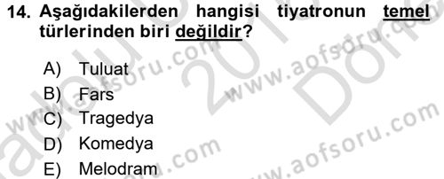 Güzel Sanatlar Dersi 2016 - 2017 Yılı (Final) Dönem Sonu Sınav Soruları 14. Soru