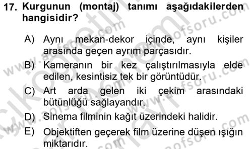 Güzel Sanatlar Dersi 2016 - 2017 Yılı (Final) Dönem Sonu Sınav Soruları 17. Soru