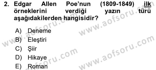 Güzel Sanatlar Dersi 2016 - 2017 Yılı (Final) Dönem Sonu Sınav Soruları 2. Soru