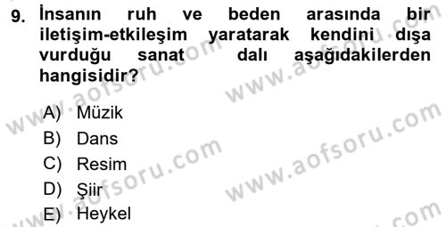 Güzel Sanatlar Dersi 2016 - 2017 Yılı (Final) Dönem Sonu Sınav Soruları 9. Soru