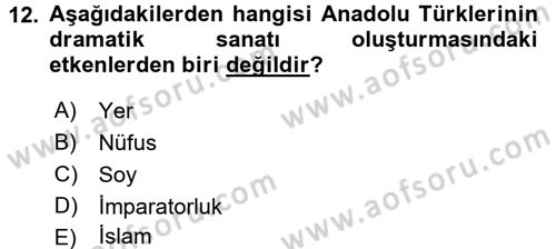 Güzel Sanatlar Dersi 2018 - 2019 Yılı (Vize) Ara Sınav Soruları 12. Soru