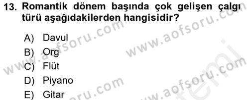 Güzel Sanatlar Dersi 2018 - 2019 Yılı (Vize) Ara Sınav Soruları 13. Soru
