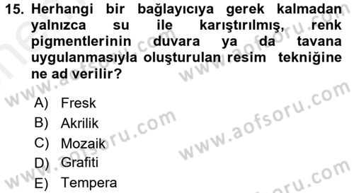 Güzel Sanatlar Dersi 2018 - 2019 Yılı (Vize) Ara Sınav Soruları 15. Soru