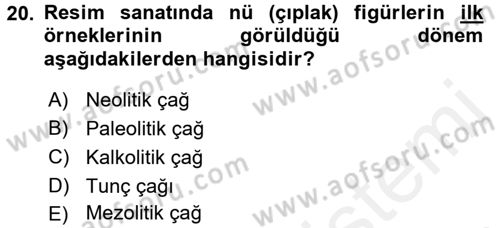 Güzel Sanatlar Dersi 2018 - 2019 Yılı (Vize) Ara Sınav Soruları 20. Soru